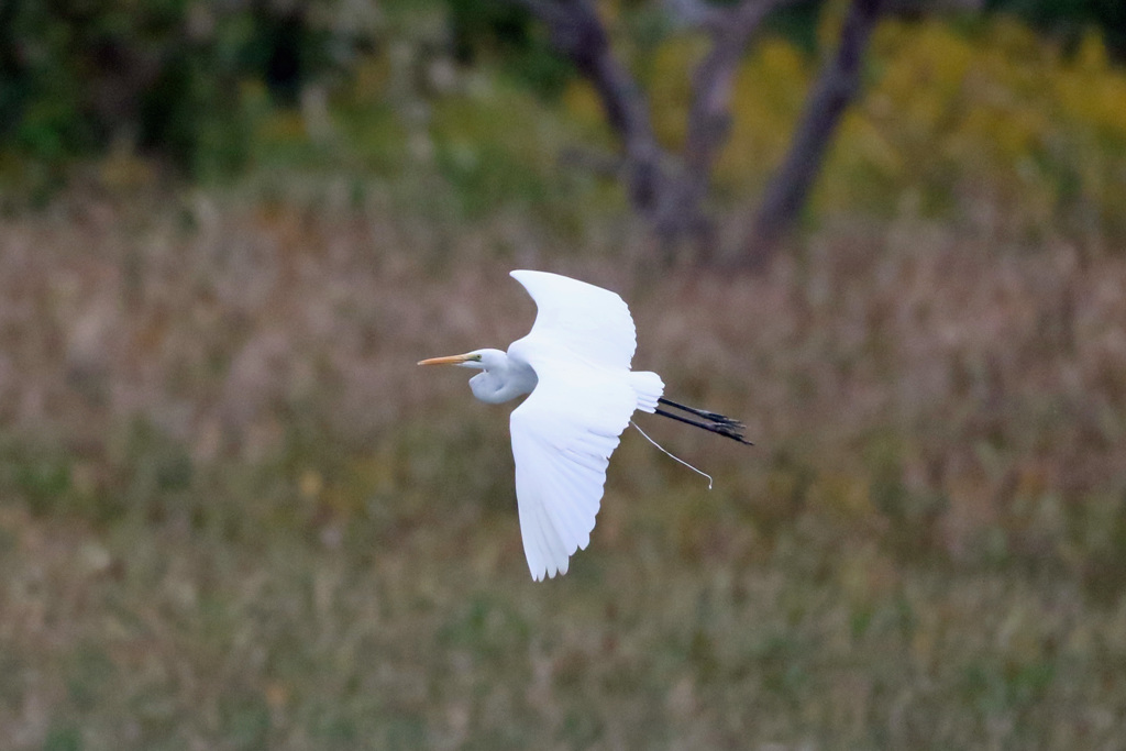 トイレは空の中