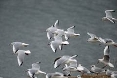 みんなで一緒に離陸中