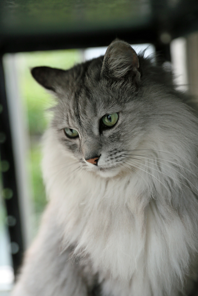 ちょっと思案中