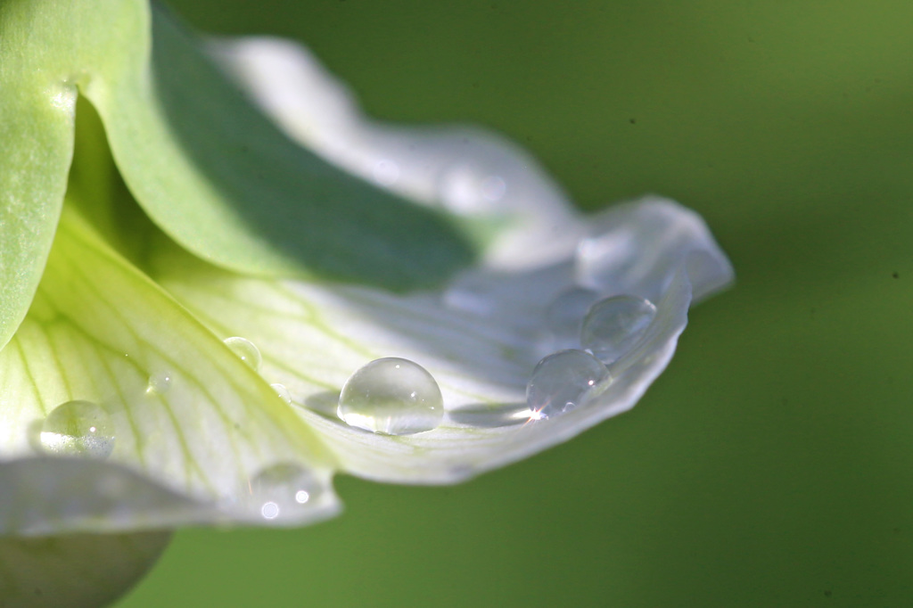 雨上がり