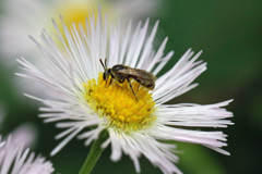 あなたはどなた