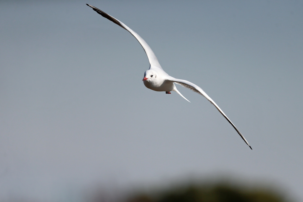 正面シリーズ-2