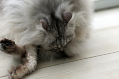 ひねってます続き