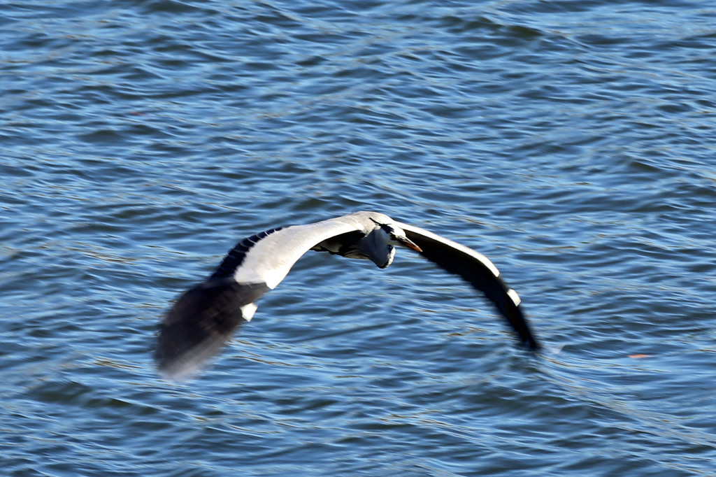 定番ポーズで-2