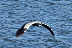 定番ポーズで-2