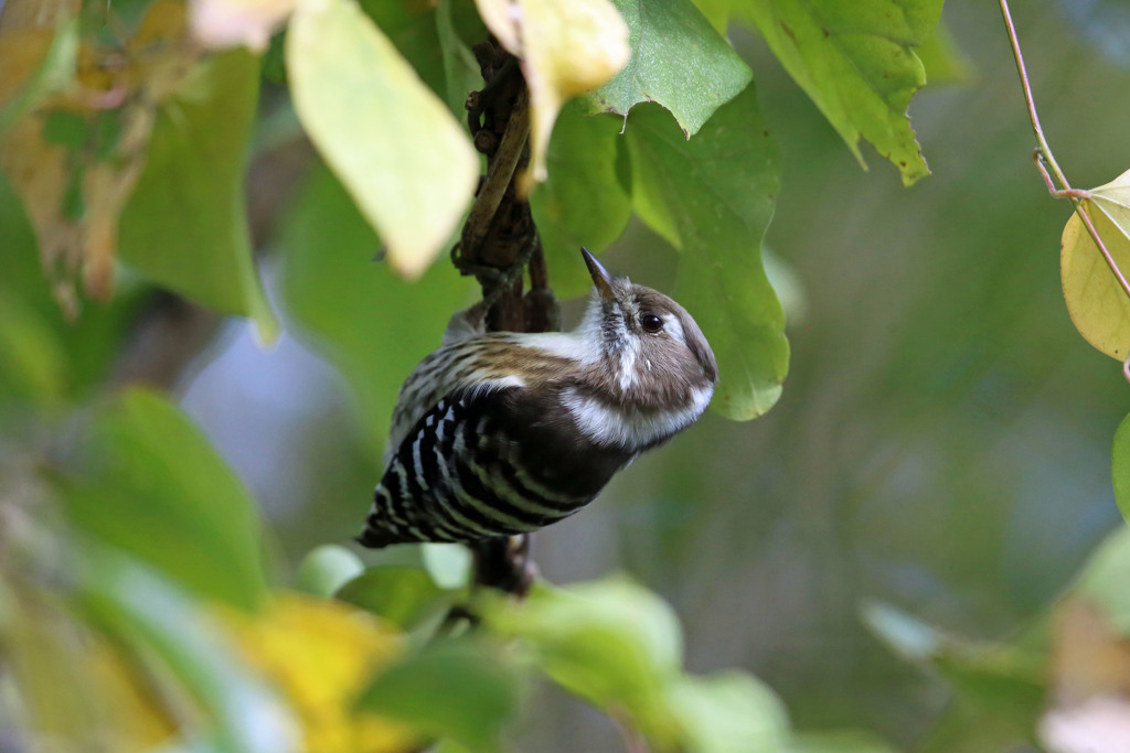 日差しを浴びて