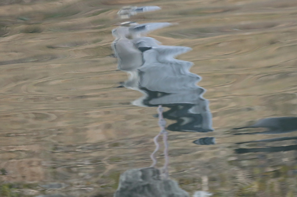 あなたはとなた