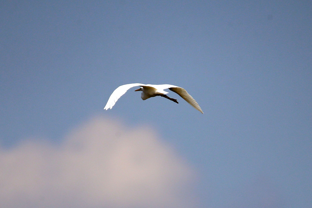 青空