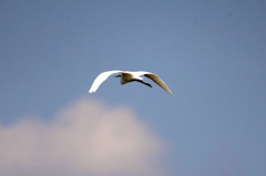 青空