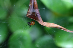 あなたの名前は