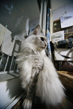 手長にゃにゃその2