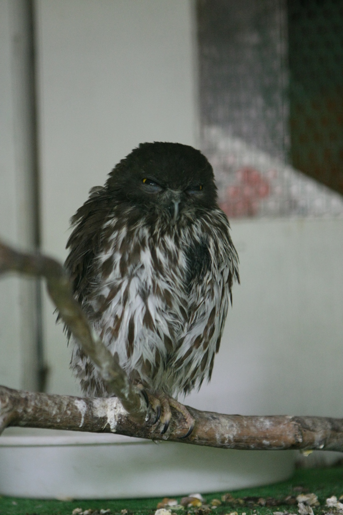 男前に撮ってね