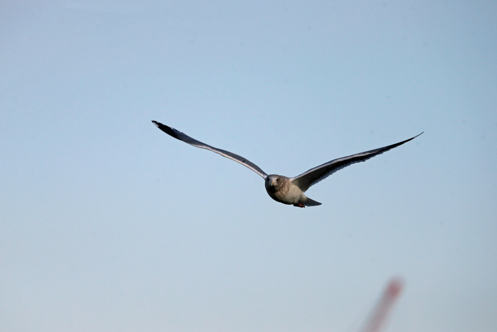 正面シリーズその11