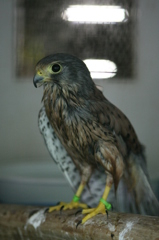 かっこよく撮ってね