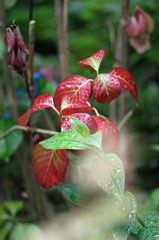 手前に何か光るもの