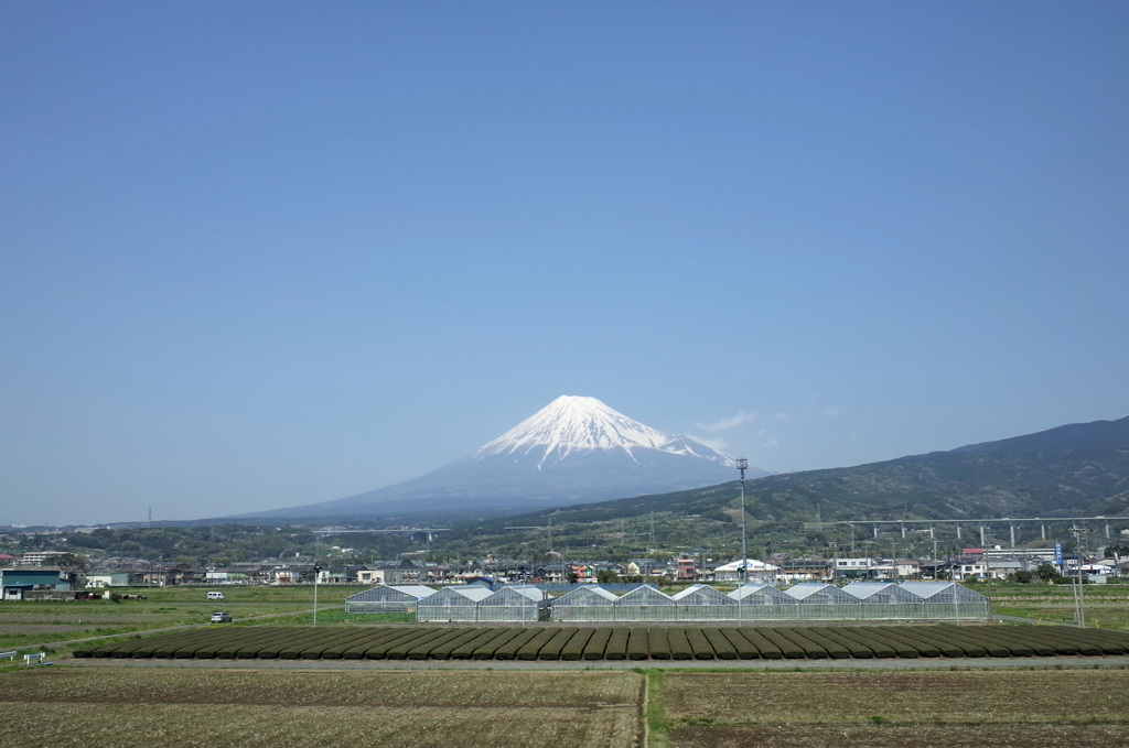 茶畑、温室、第二東名