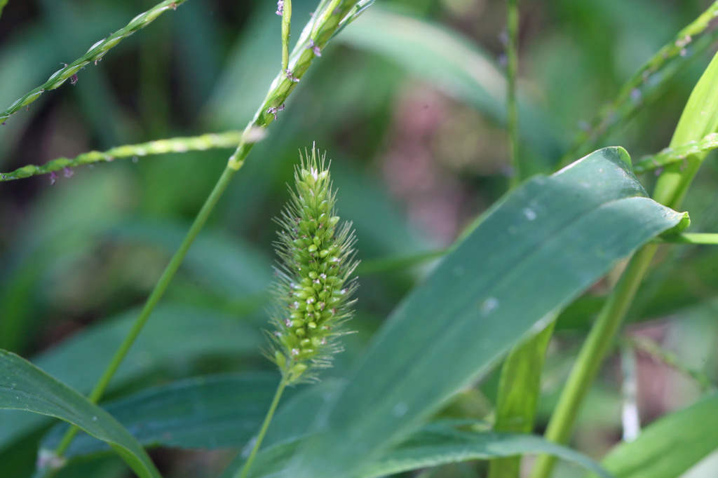 足元も秋の気配