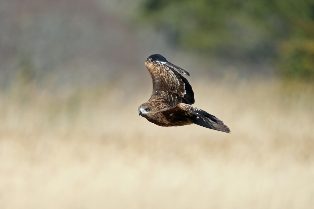 ちょっと左旋回