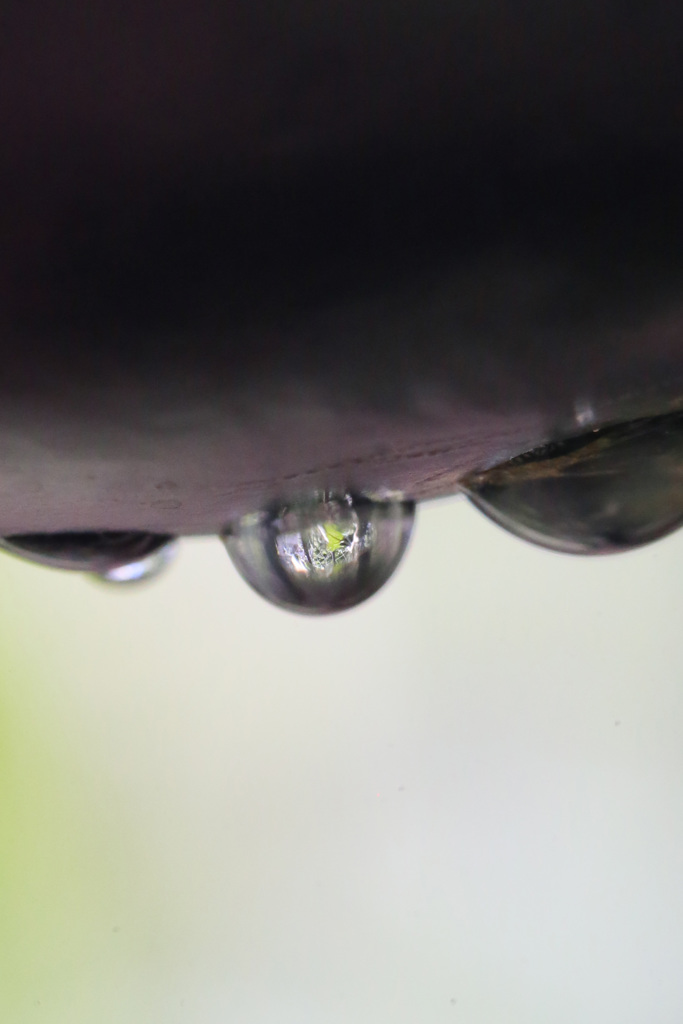 水滴シリーズ-2