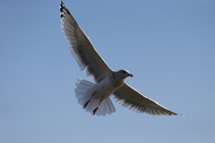 日差しを浴びて