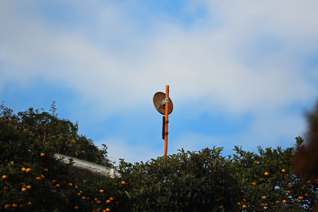 こんな所にカーブミラー