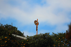 こんな所にカーブミラー