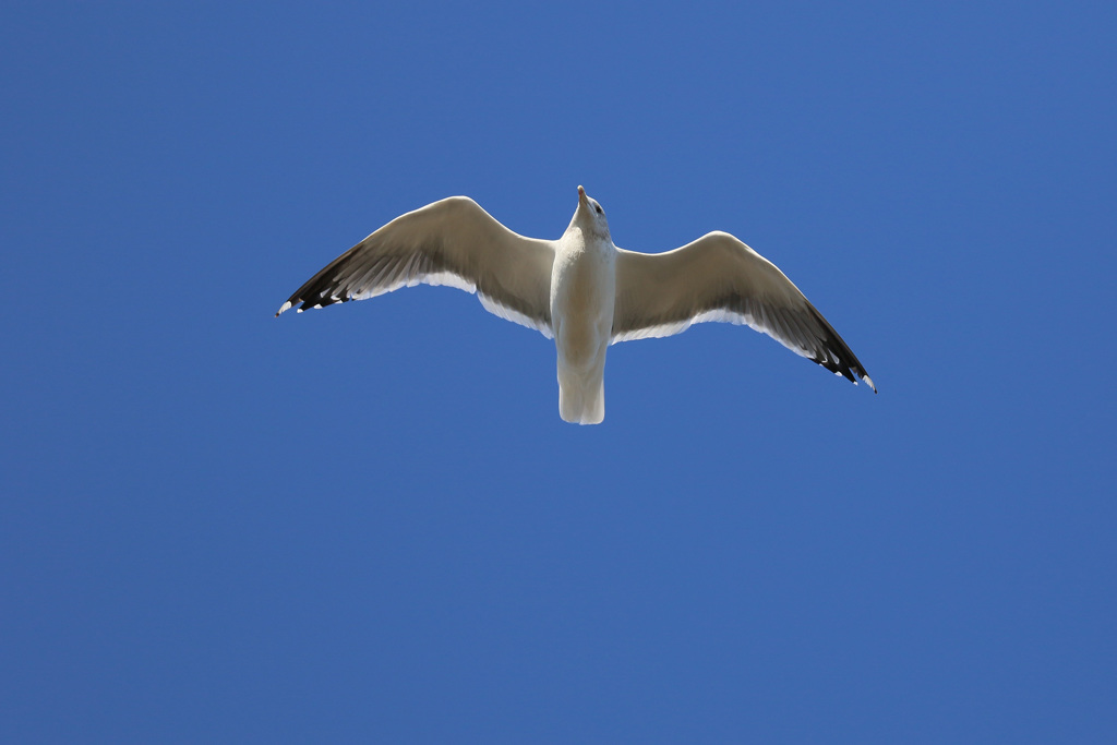 日差しを浴びて