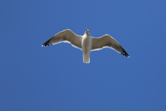 日差しを浴びて 日差しを浴びて