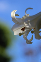 今日も暑いなー