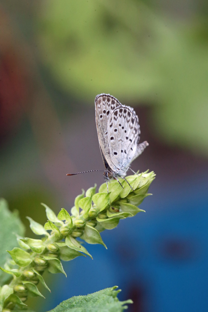 青空はビニールシート