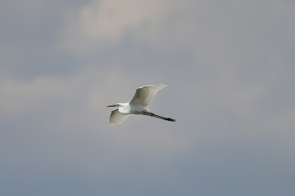 日差しを浴びて