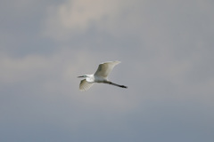 日差しを浴びて