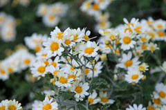 毎日お世話になっております-2