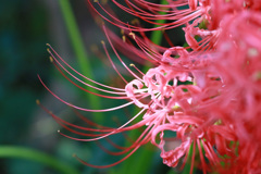 スポットライト