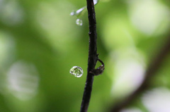 1/2000で止まって見えます-2