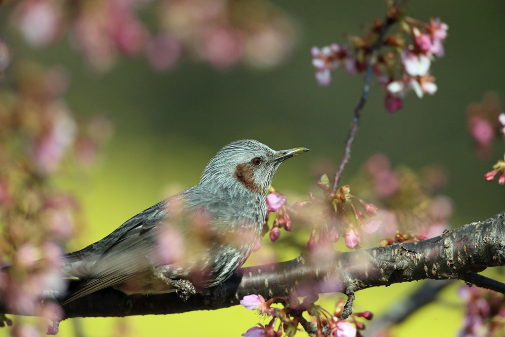 たまには僕も撮ってね