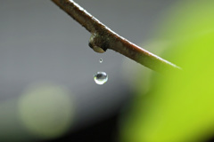 水滴レンズその1