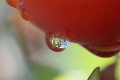 水滴シリーズ-5