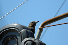 そーとのぞいて見てごらん