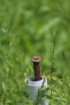 この鉄杭気になりません？