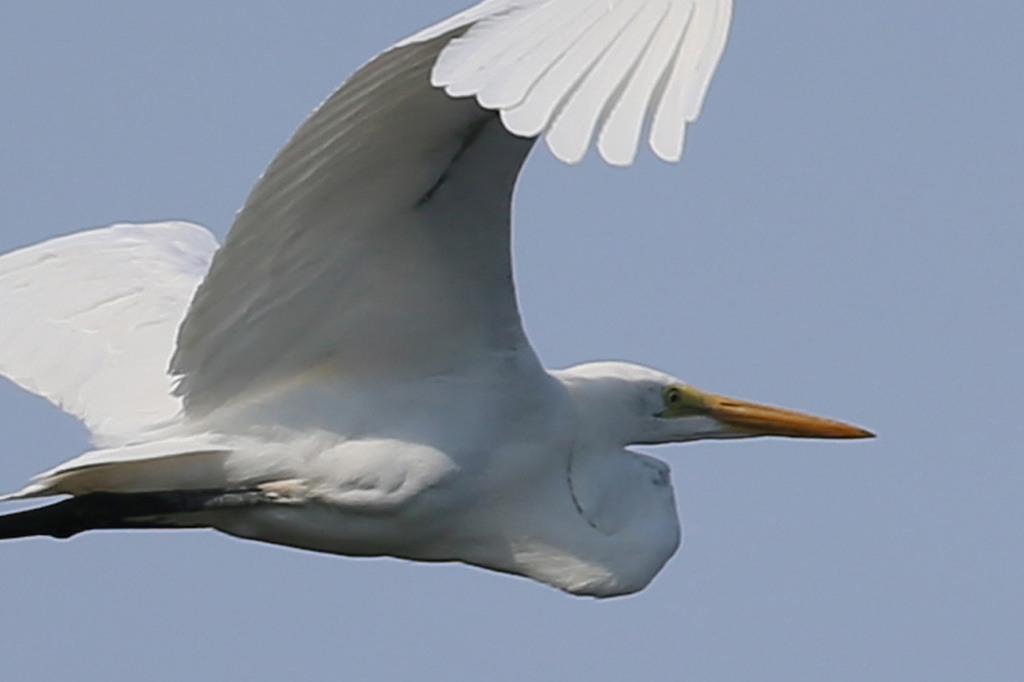 横からアップで