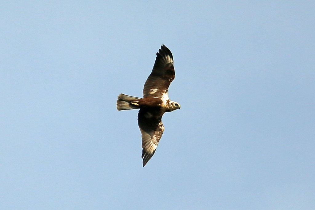 日差しを浴びて