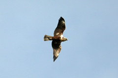 日差しを浴びて