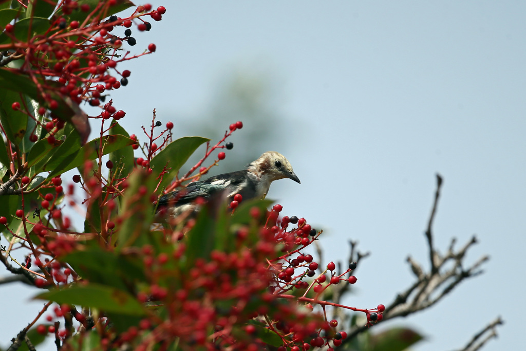 日差しを浴びて