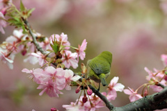 背中綺麗でしょ