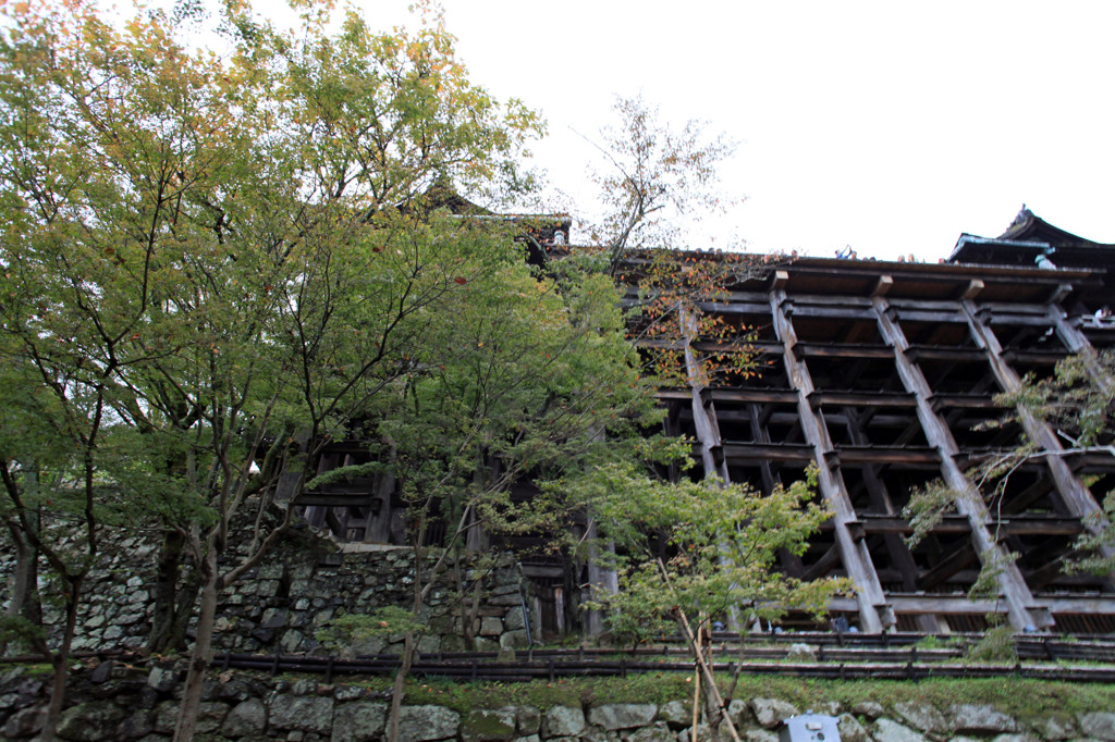 飛び降りると痛いでやめときな