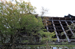 飛び降りると痛いでやめときな