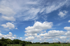 いつもの保護区