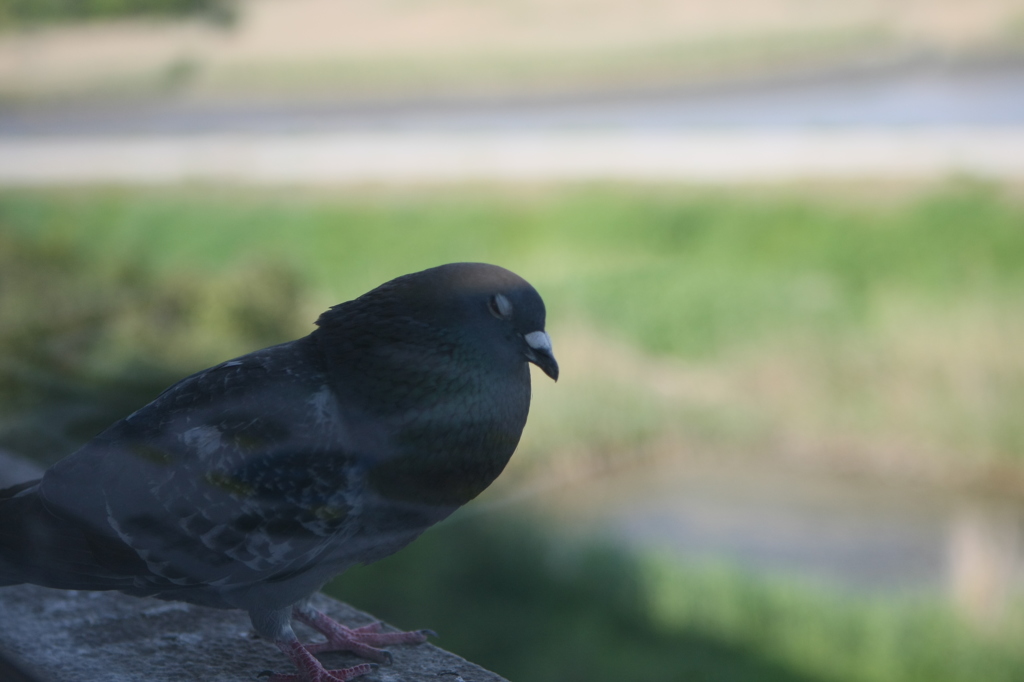 ねむいのかな？