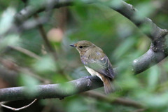 背中も綺麗でしょ